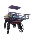 Self-Propelled Pesticide Sprayer for Wheat and Maize